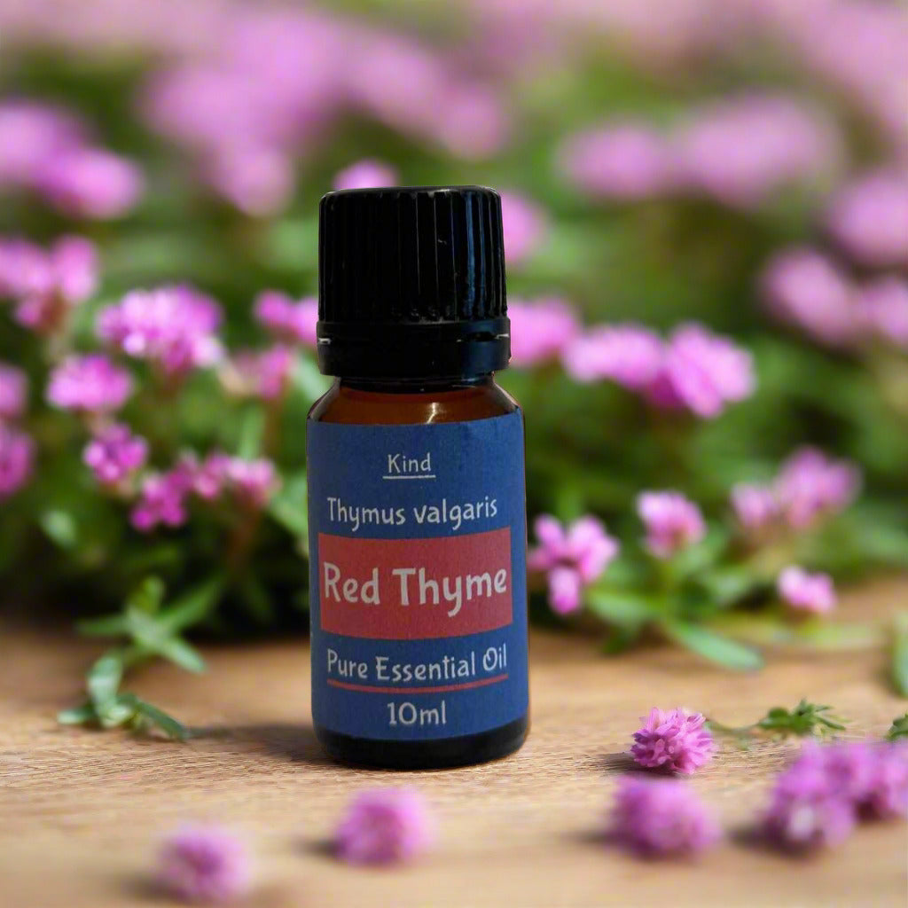 Red Thyme Essential Oil