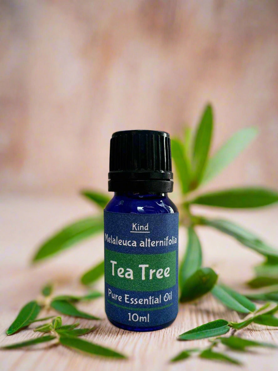 Tea Tree Essential Oil